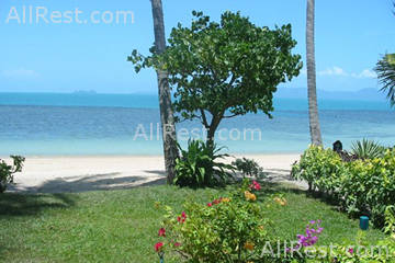 Coconut Grove 5